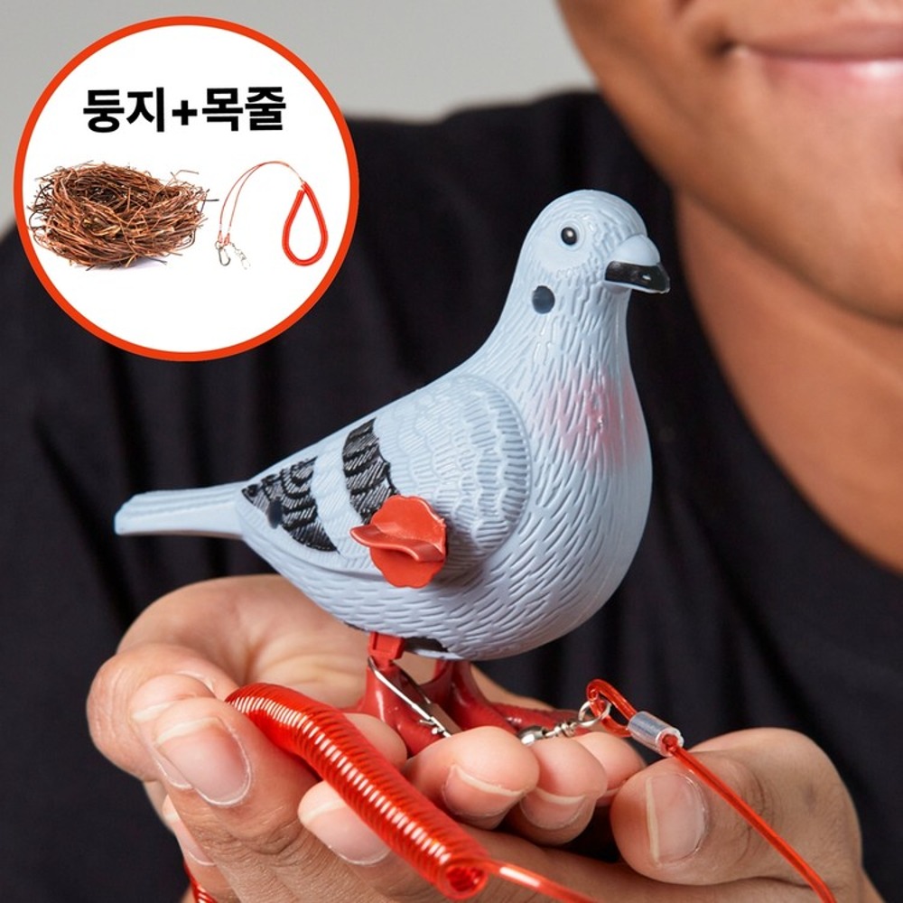 비둘기장난감, 비둘기태엽장난감